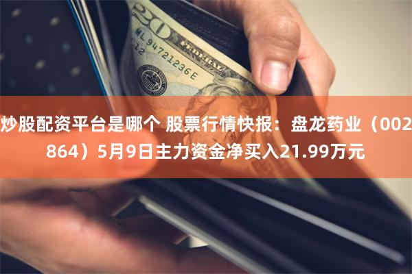 炒股配资平台是哪个 股票行情快报：盘龙药业（002864）5月9日主力资金净买入21.99万元