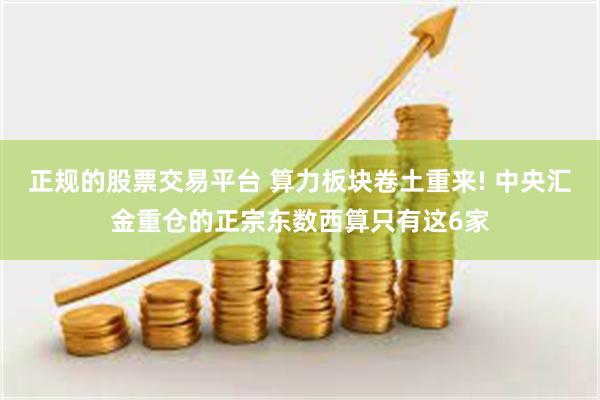 正规的股票交易平台 算力板块卷土重来! 中央汇金重仓的正宗东数西算只有这6家