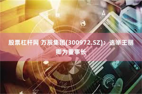 股票杠杆网 万辰集团(300972.SZ)：选举王丽卿为董事长