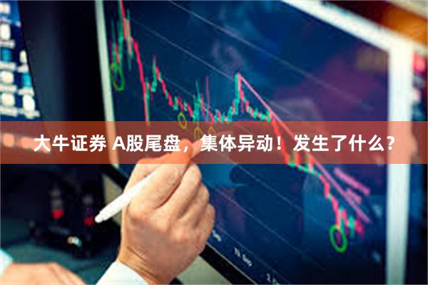 大牛证券 A股尾盘，集体异动！发生了什么？