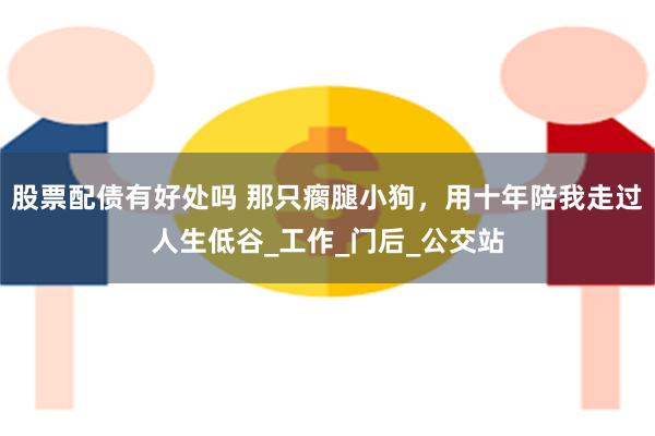 股票配债有好处吗 那只瘸腿小狗，用十年陪我走过人生低谷_工作_门后_公交站