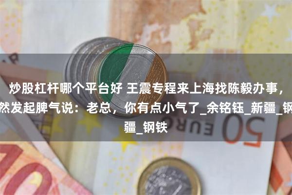 炒股杠杆哪个平台好 王震专程来上海找陈毅办事，突然发起脾气说：老总，你有点小气了_余铭钰_新疆_钢铁